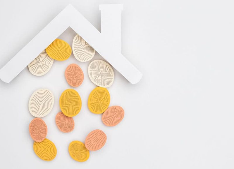 investissement-loi-pinel (1)